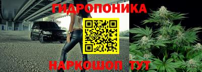 мяу мяу мука Дубна