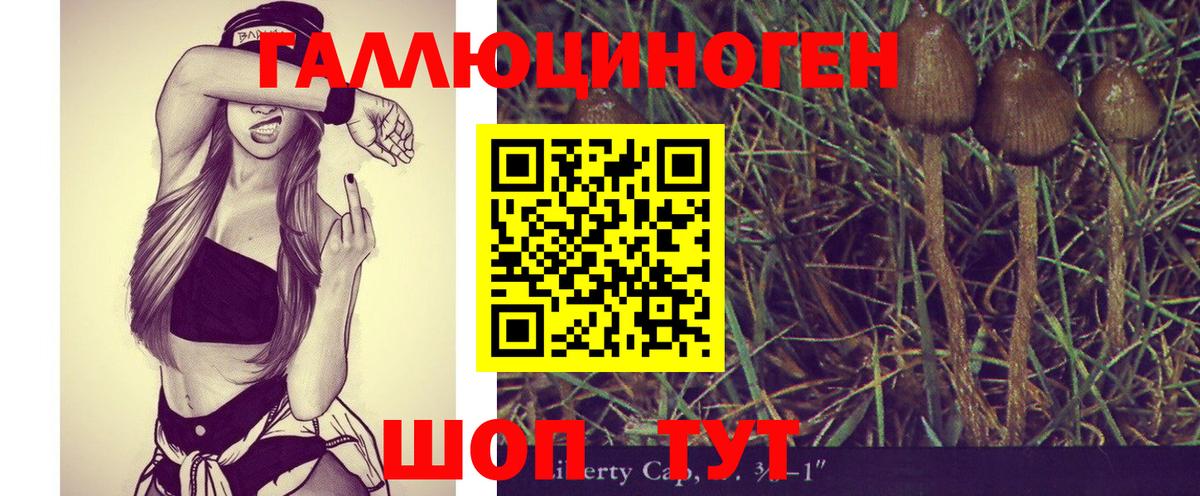 Галлюциногенные грибы Psilocybe Лангепас